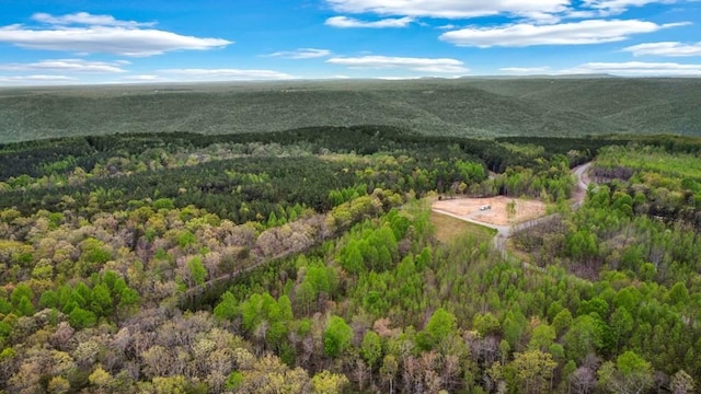 1322 Hillis Cemetery Rd, Spencer, TN 38585