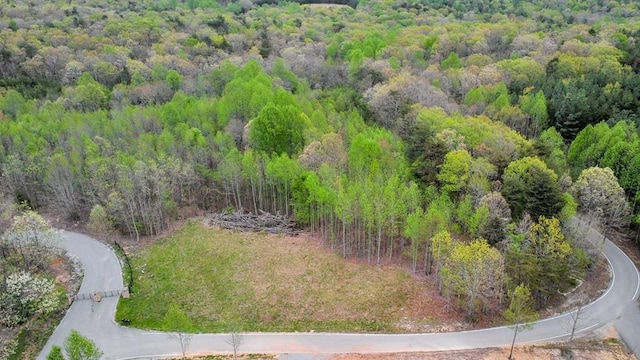 1322 Hillis Cemetery Rd, Spencer, TN 38585