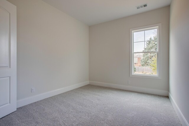 1008 Tiane Trl, Gallatin, TN 37066 - photo 37