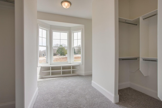1008 Tiane Trl, Gallatin, TN 37066 - photo 35