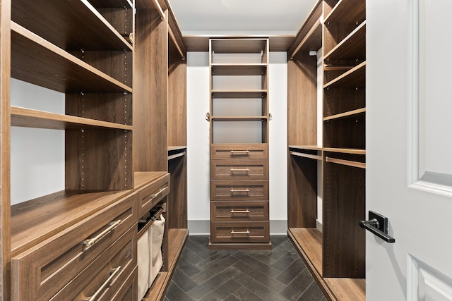 view of walk in closet