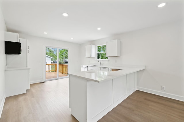 kitchen featuring light wood-type flooring, a wealth of natural light, light countertops, and a sink