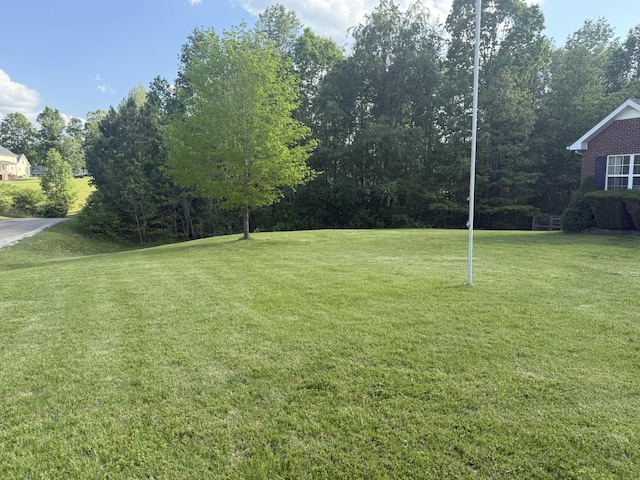 204 Commanche Dr, Hohenwald, TN 38462 - view of yard