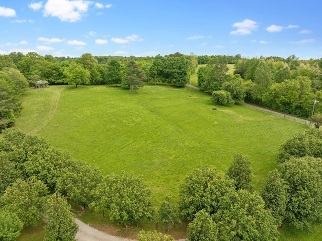 bird's eye view featuring a rural view