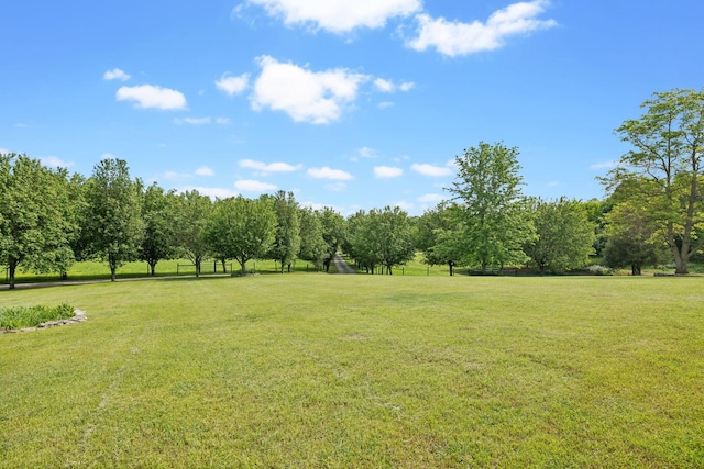 view of yard