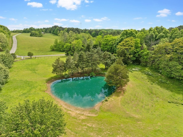 birds eye view of property with a rural view and a water view