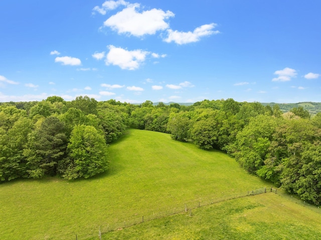 aerial view featuring a forest view