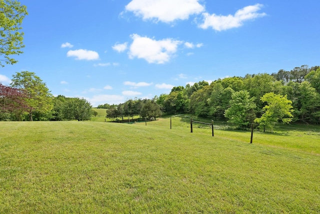view of yard with a rural view
