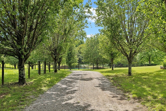 view of home's community with a yard