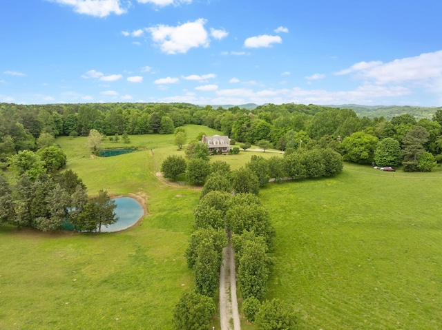 bird's eye view featuring a water view and a wooded view