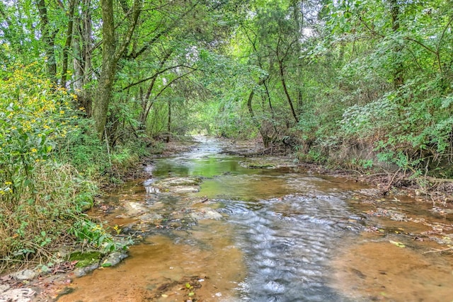 31449 Valley Ln, Prospect, TN 38477 - water view with a wooded view