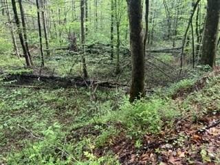 102 Bear Den Trl, Grandview, TN 37337 - photo 3