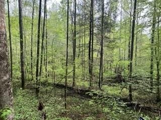 102 Bear Den Trl, Grandview, TN 37337 - photo 1