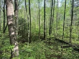 102 Bear Den Trl, Grandview, TN 37337 - photo 4