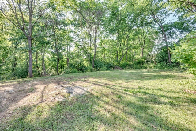 117 Apollo Ct W, Antioch, TN 37013 - view of yard with a forest view