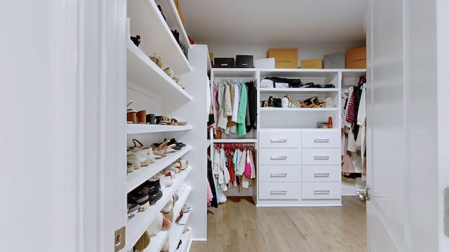 walk in closet featuring light wood-style floors