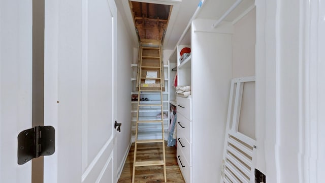 spacious closet with wood finished floors