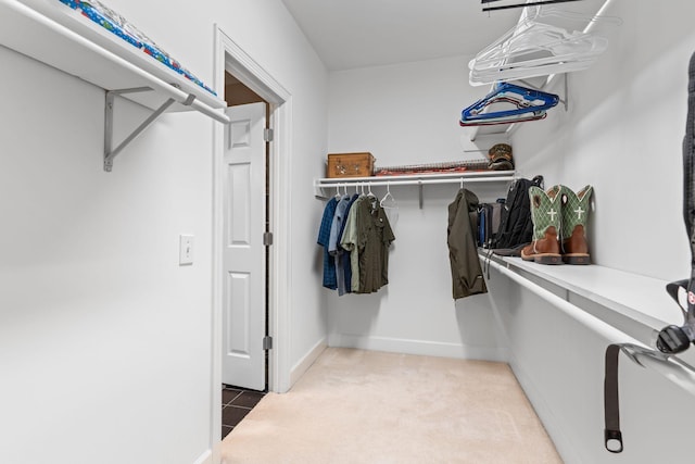 spacious closet with light carpet