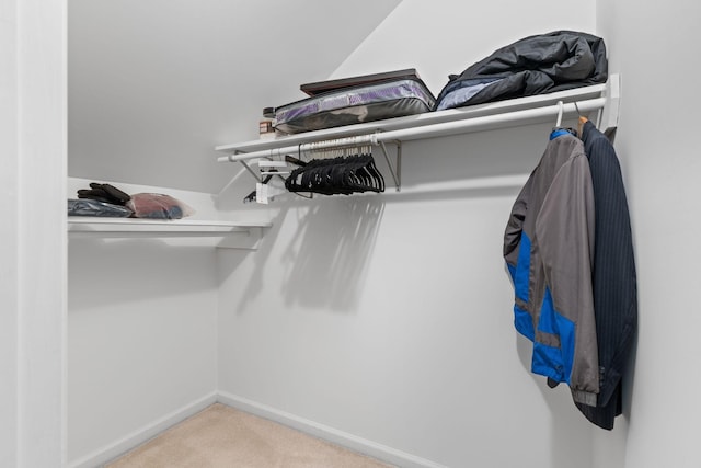 spacious closet featuring carpet flooring