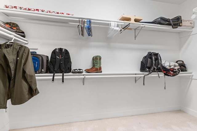 spacious closet with carpet flooring