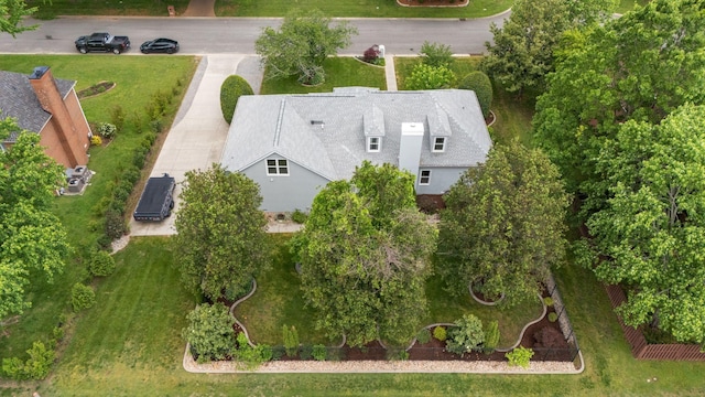 bird's eye view