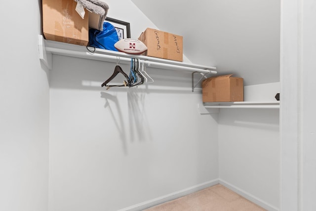 spacious closet with carpet flooring