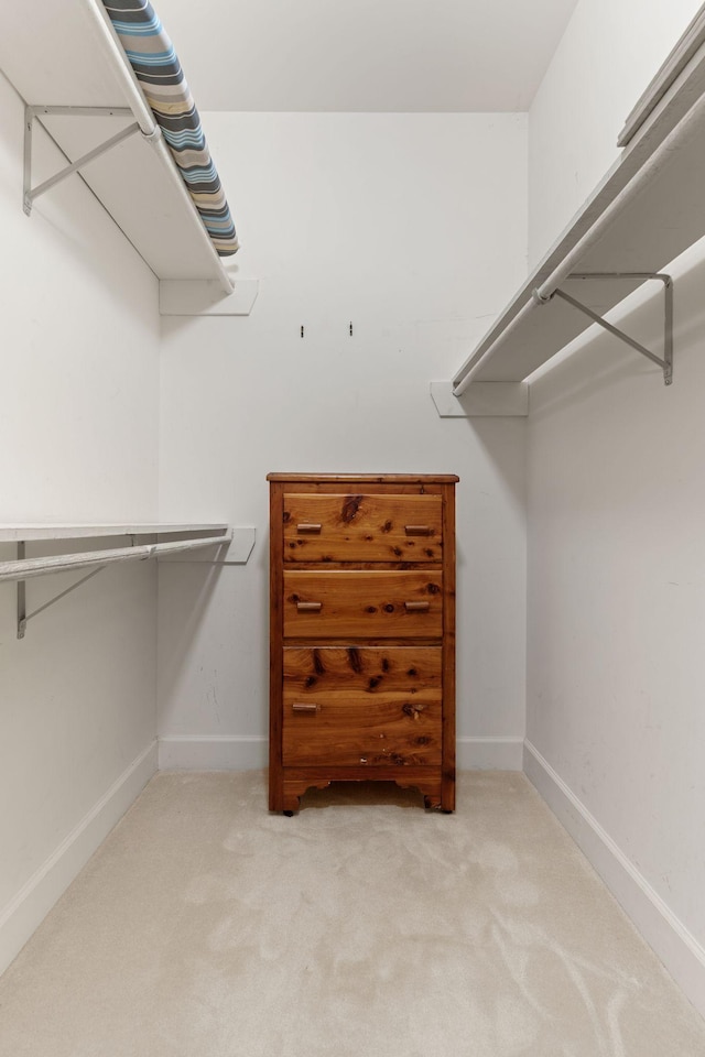 spacious closet featuring carpet