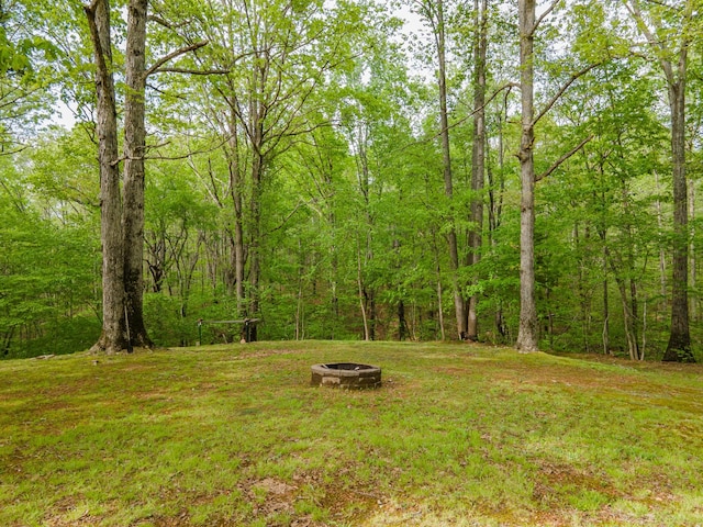 view of yard featuring a view of trees and an outdoor fire pit
