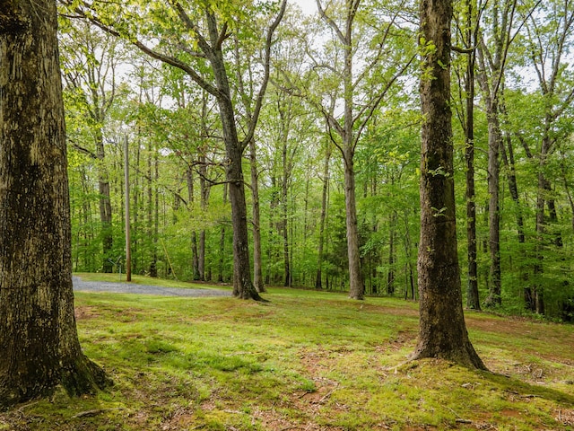 view of yard with a forest view