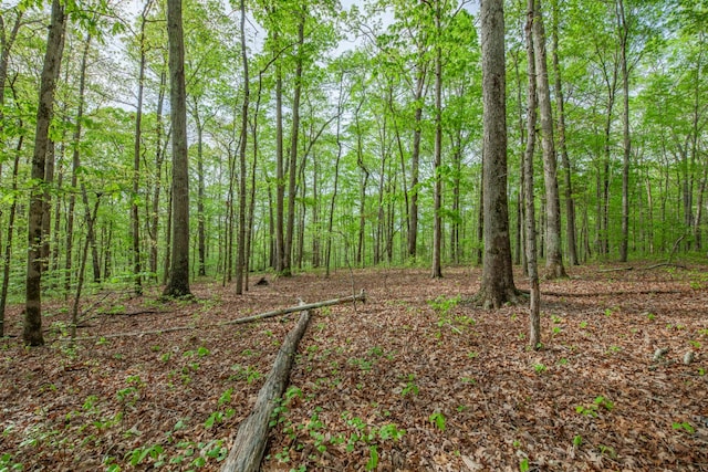 view of nature featuring a wooded view
