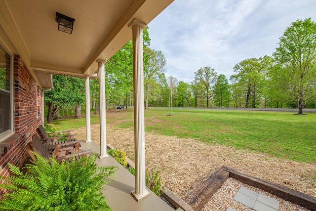 view of yard featuring covered porch