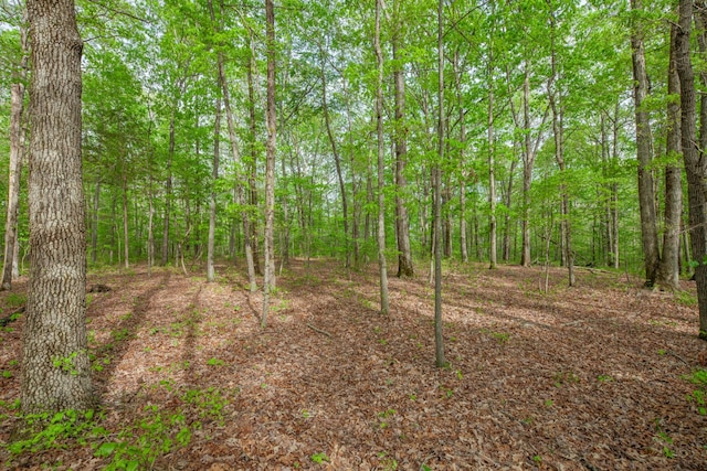 view of nature featuring a view of trees