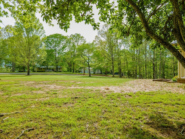 view of yard
