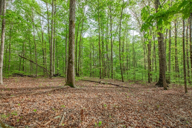 view of local wilderness featuring a forest view