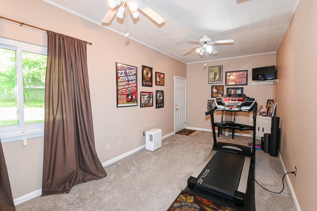 804 Brownstone Ct, Nolensville, TN 37135 - photo 26