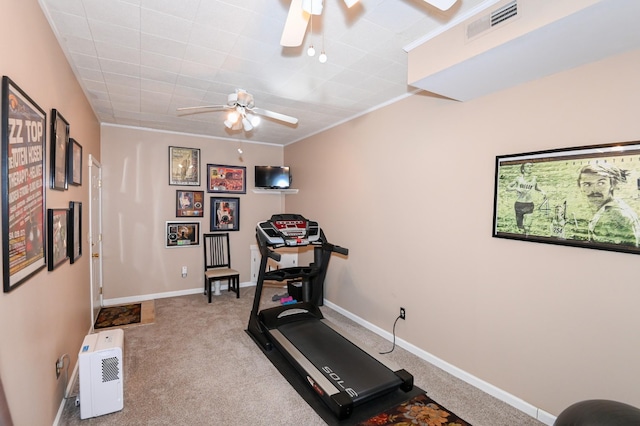 804 Brownstone Ct, Nolensville, TN 37135 - photo 25