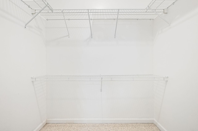 spacious closet with carpet floors