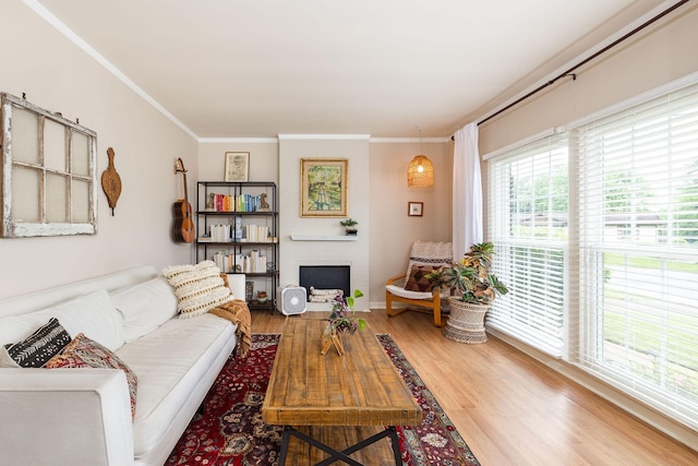 living area featuring crown molding, baseboards, wood finished floors, and a fireplace