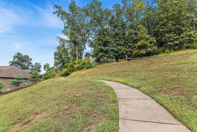140 Cobbler Cir, Hendersonville, TN 37075 - photo 48