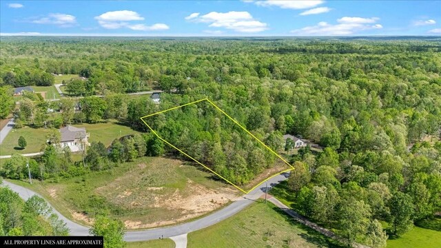 0 Wellington Pl, Waverly, TN 37185