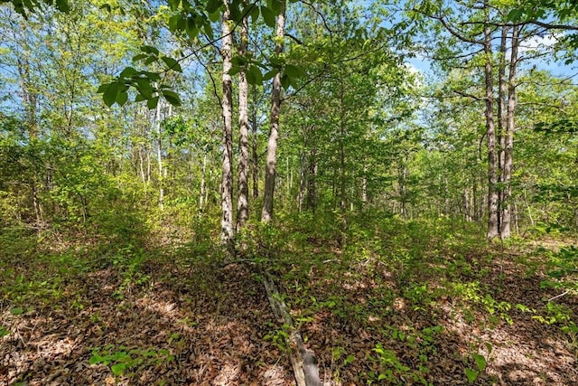 0 Wellington Pl, Waverly, TN 37185