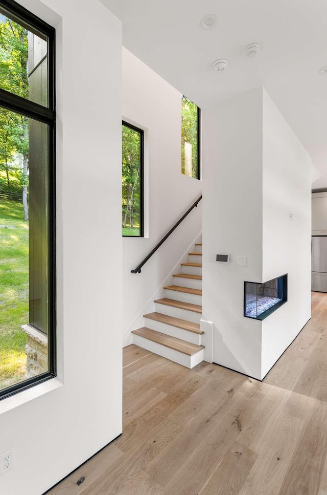 staircase featuring wood finished floors