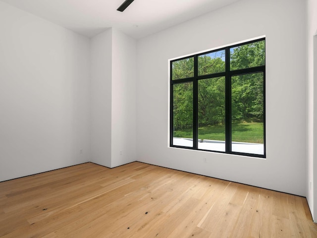 unfurnished room with a wealth of natural light and light wood-type flooring