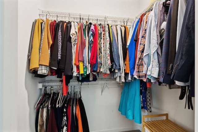 411 Barbaro Ct, Burns, TN 37029 - view of spacious closet