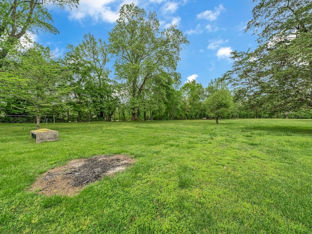 609 W Main St, Waverly, TN 37185 - view of yard