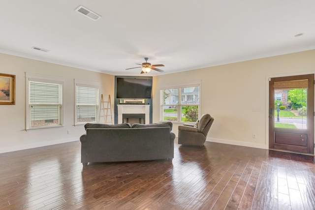 living room with visible vents, crown molding, a fireplace, a ceiling fan, and dark wood finished floors