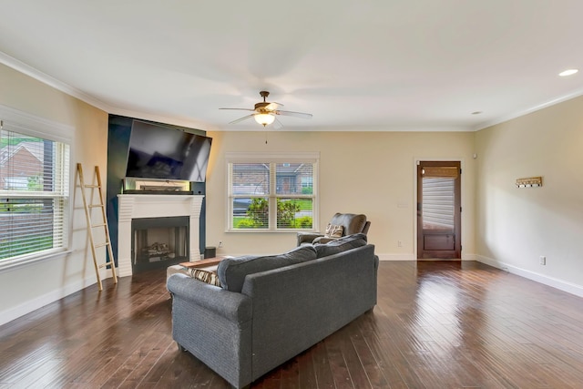 living room with a ceiling fan, crown molding, a fireplace, baseboards, and dark wood-style floors