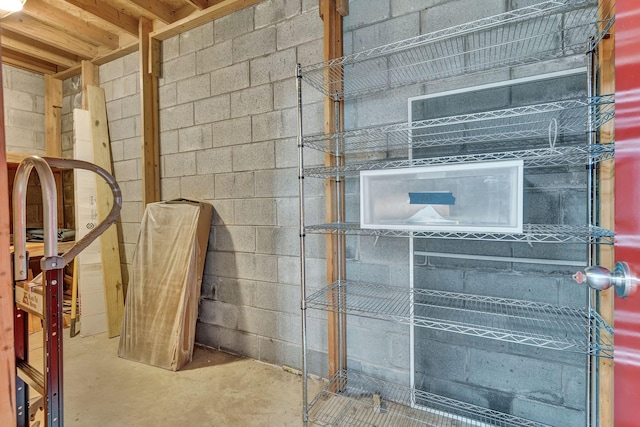1012 Carrs Creek Blvd, Greenbrier, TN 37073 - view of storage area