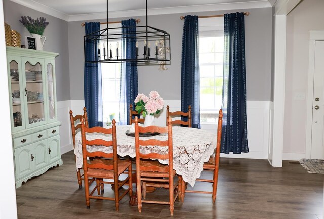 dining space with crown molding, dark wood-style flooring, and a wainscoted wall