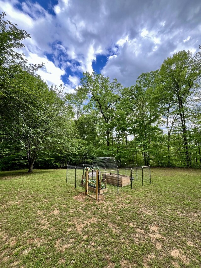 view of yard featuring a vegetable garden